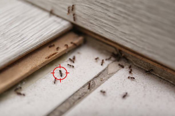 Best Pest Inspection Near Me  in Toftrees, PA