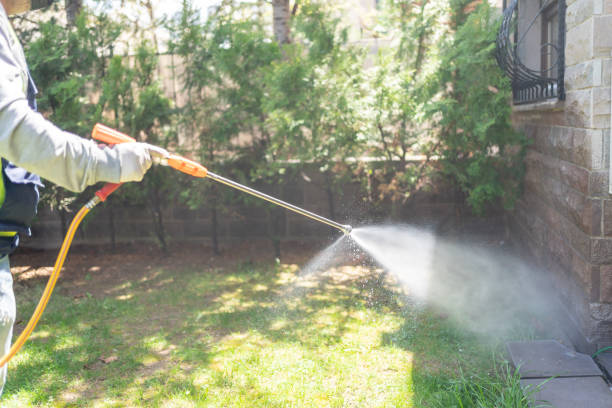 Professional Pest Control in Toftrees, PA