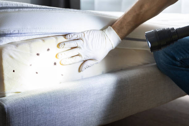 Best Local Pest Control Services  in Toftrees, PA